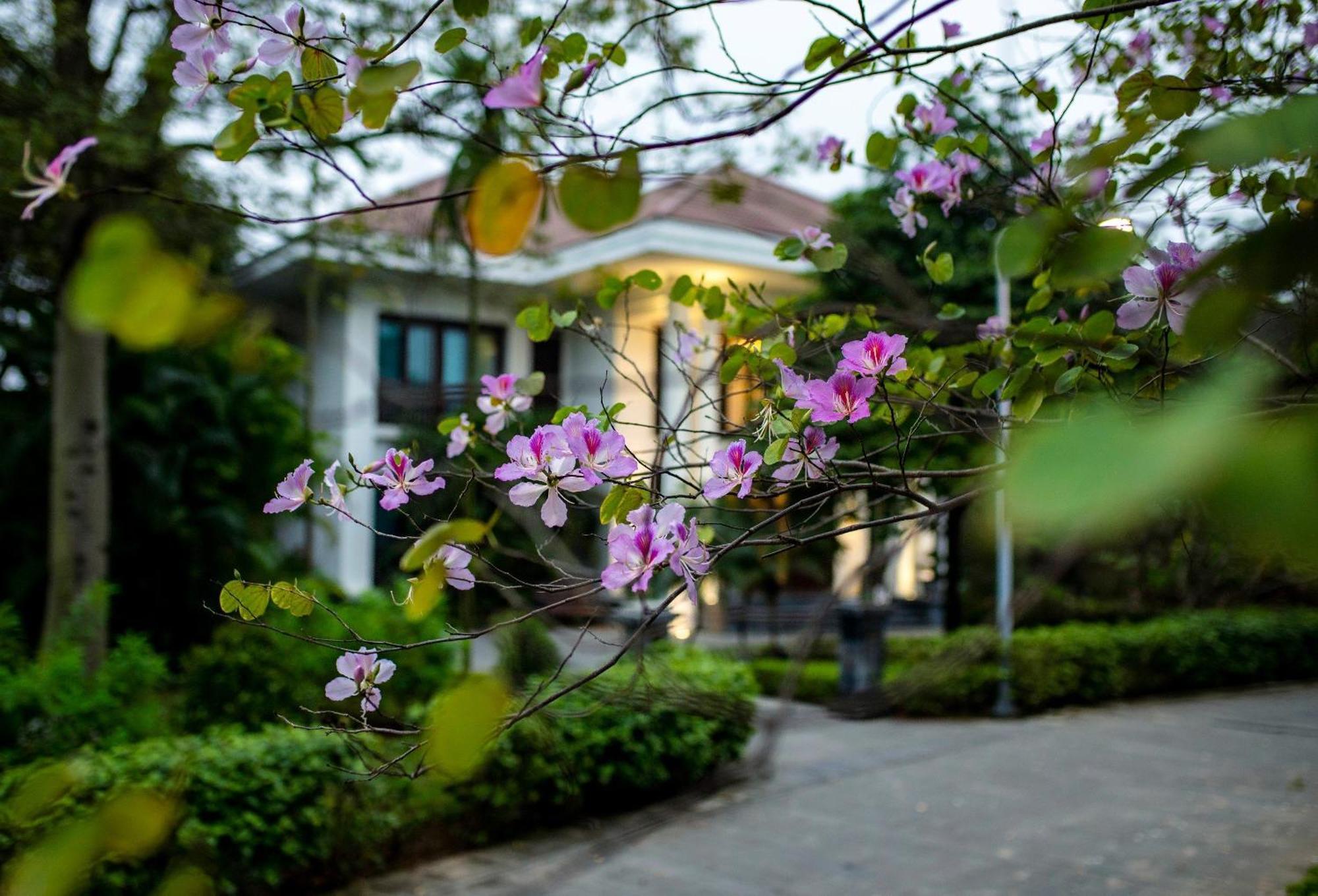 NCC Garden Villas - Khu biệt thự Trung tâm Hội nghị Quốc Gia Hanói Exterior foto